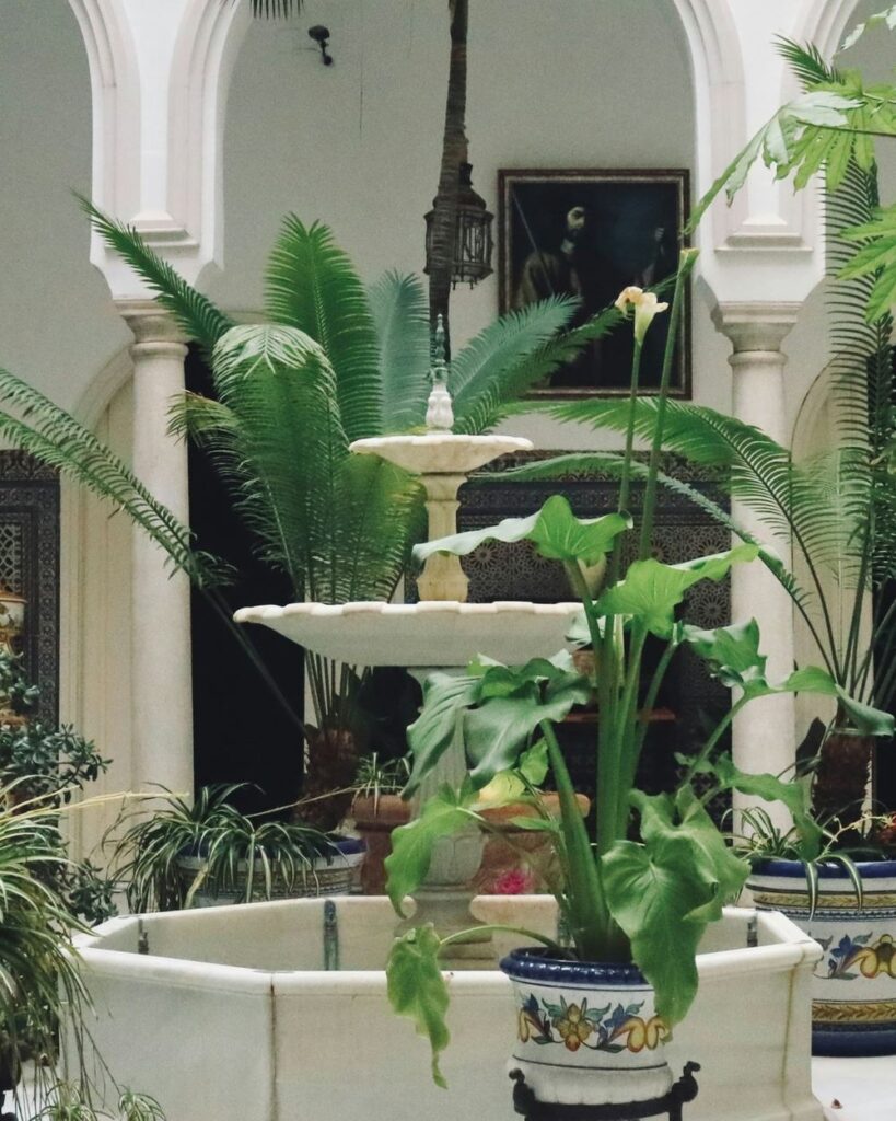 Patio interior con fuente y plantas, entre arcos
